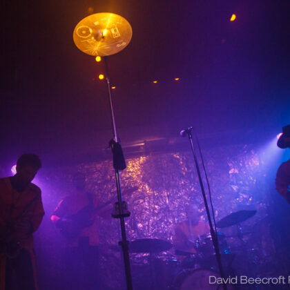 {field title}{/field}