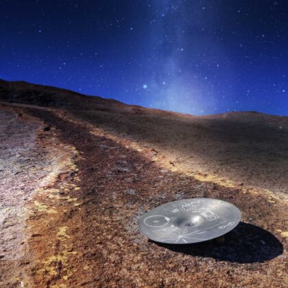 {field title}{/field}