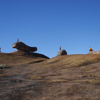 {field title}{/field}